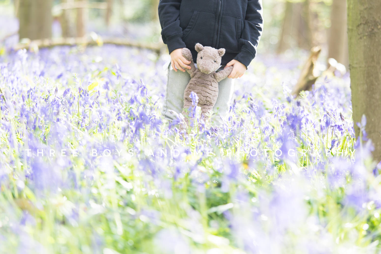 bluebell photography pre school families lifestyle 