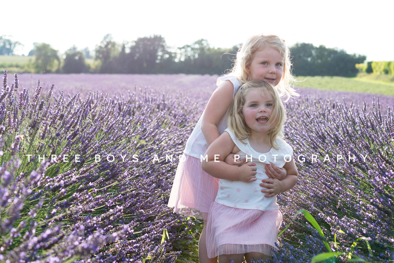Lavender portrait photography sessions Bexley Kent 