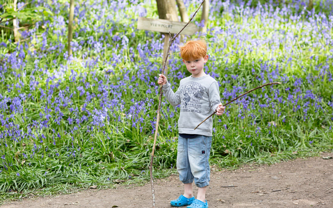 Bluebell photoshoots 2018 – getting organised!