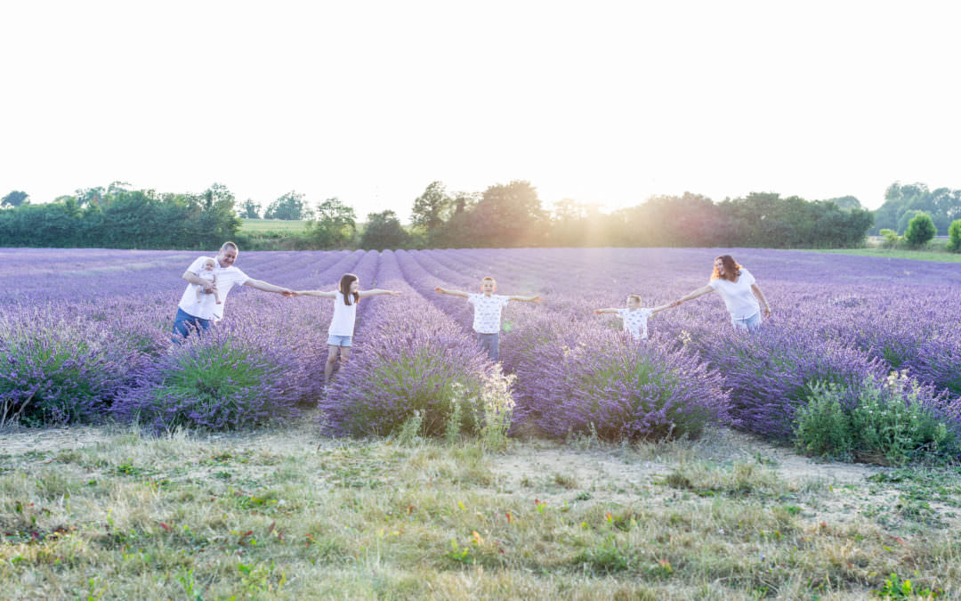 Lavender photoshoots Shoreham Kent July 2018