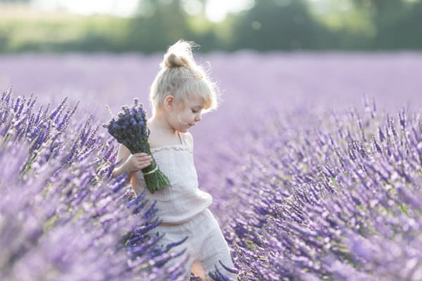 little girl holding a bunch of lavender shot at her lavender family photoshoot in Shoreham Kent