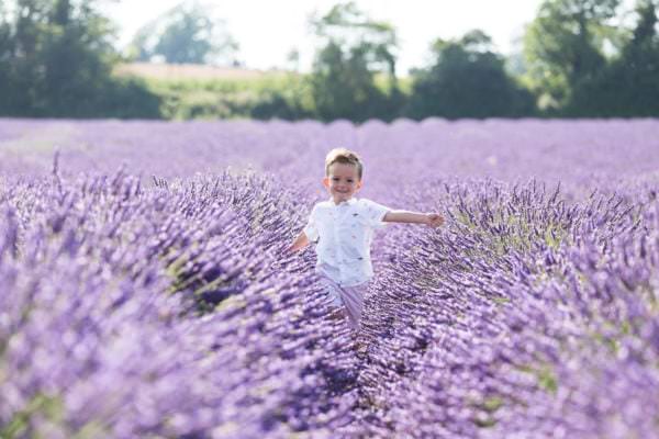 young boy running through the lavender at his Kent family lavender photoshoot in shoreham