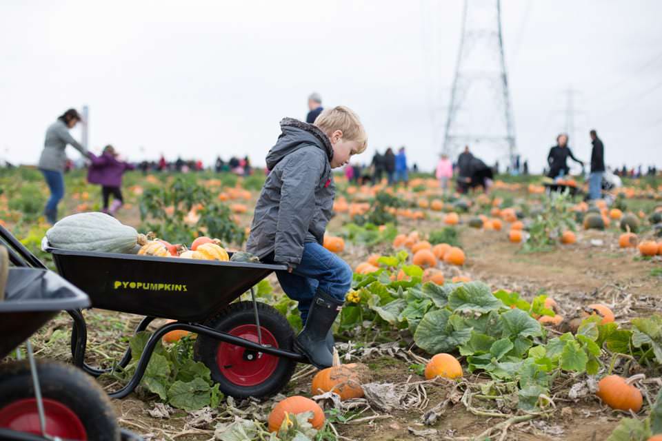 What’s on in Bexley and Sevenoaks this month for Halloween and where to pick those pumpkins!