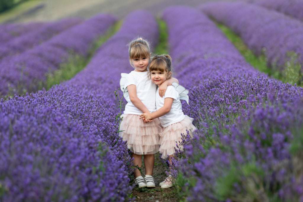 two sisters cuddling in the lavender fields at castle farm shoreham on their Kent family photoshoot