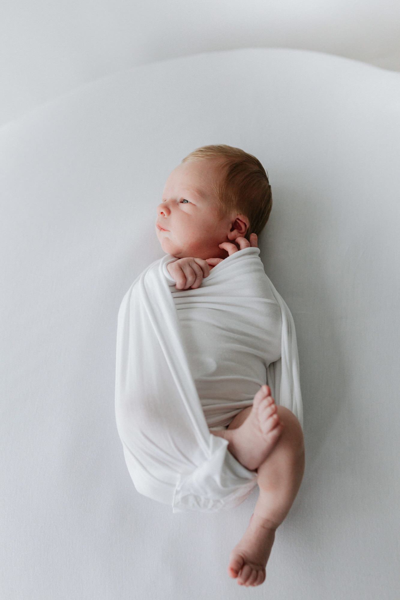 newborn baby wrapped in white at their Bexley newborn photoshoot