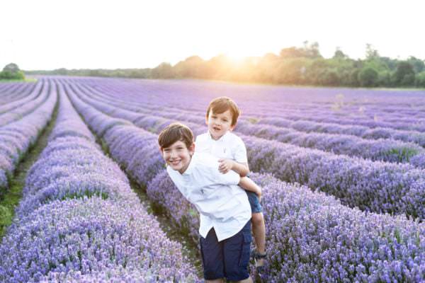 two boys piggy back in the stunning Kent Lavender fields at their portrait photoshoot