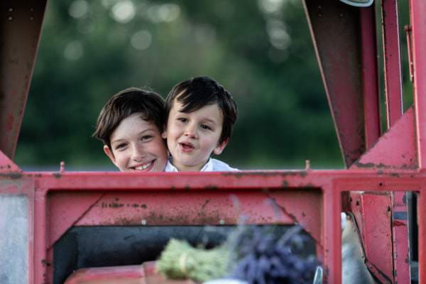 two boys in a vintage red tractor at their Kent Lavender photoshoot at castle farm shoreham