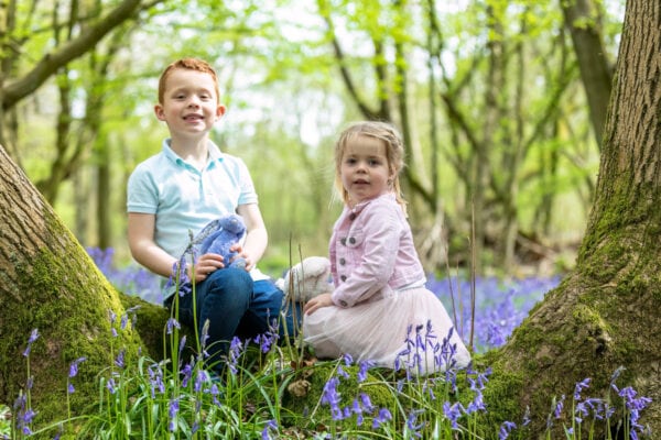 Brother and sister sitting in a heart shaped tree at their Kent bluebell photoshoot in Sevenoaks