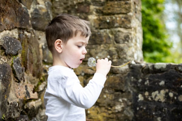 little boy blowing a dandelion clock at his Sevenoaks spring mini photoshoot
